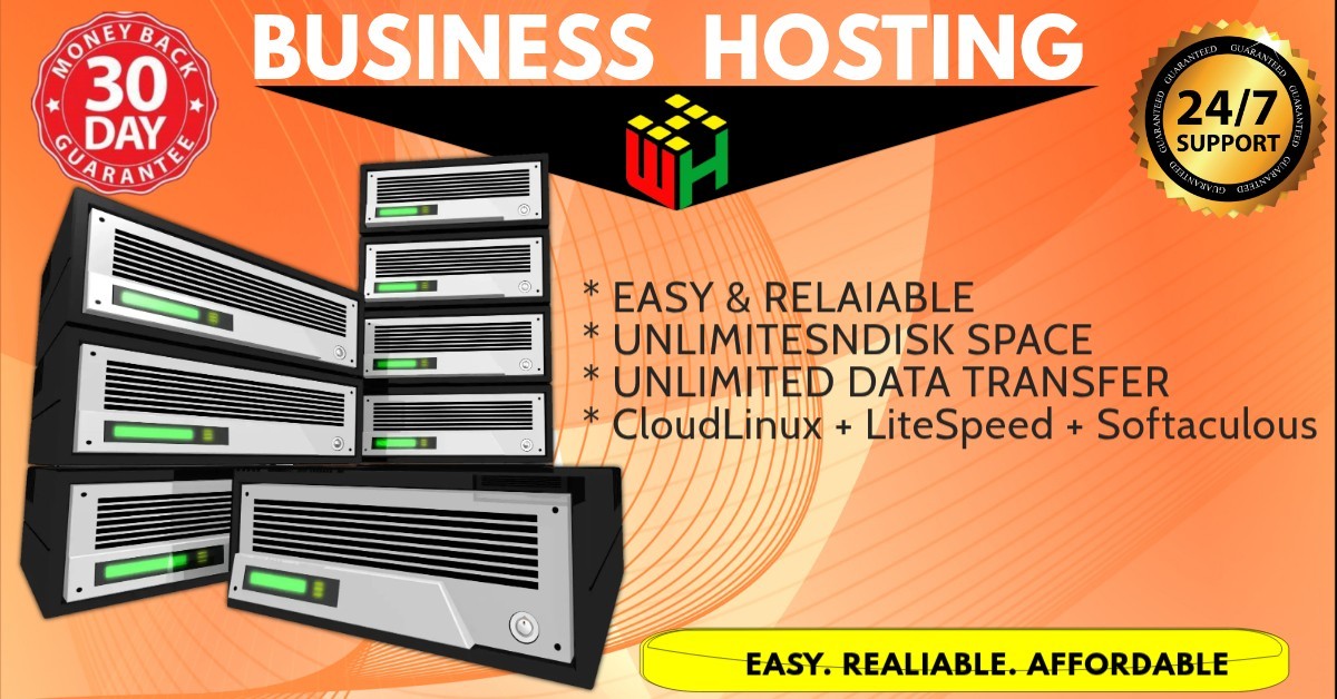 BUSINESS HOSTING  EBAY SPECIAL $1.00 FIRST MONTH   THEN $4.99 PER MONTH