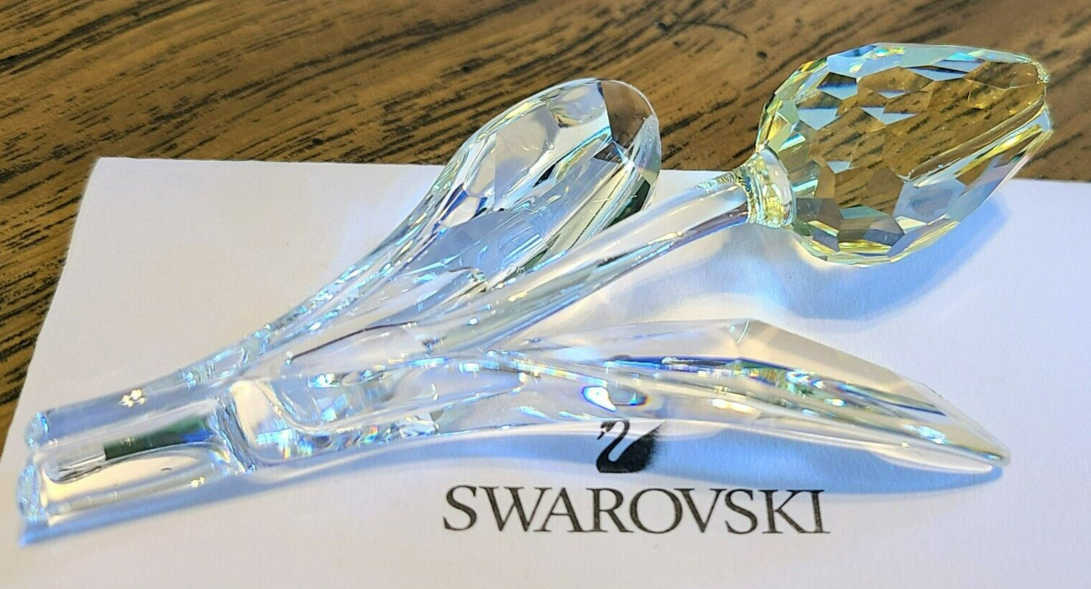 🌷 Swarovski Crystal 2004 L.E. SCS Renew Gift, Large Yellow Tulip Figurine, NIB