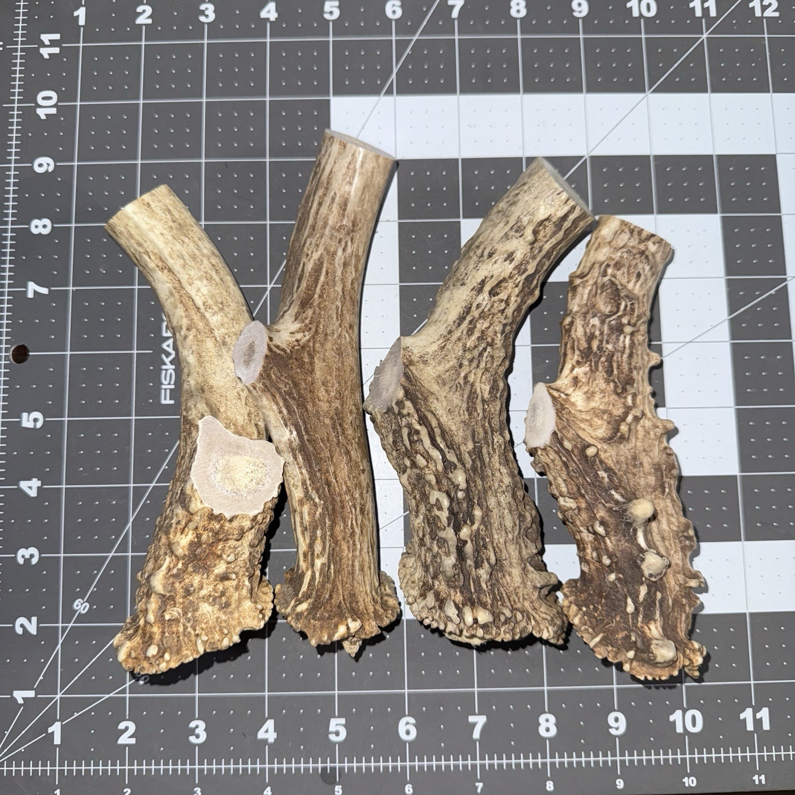 Lot Of 4 Whitetail Deer Antler Base knife handle / sheds antler whitetail deer A