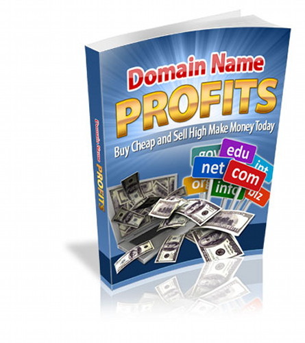 MAKE MONEY With Domain Name Profits! Fast, Fun And Easy, Buy Low Sell High (CD)