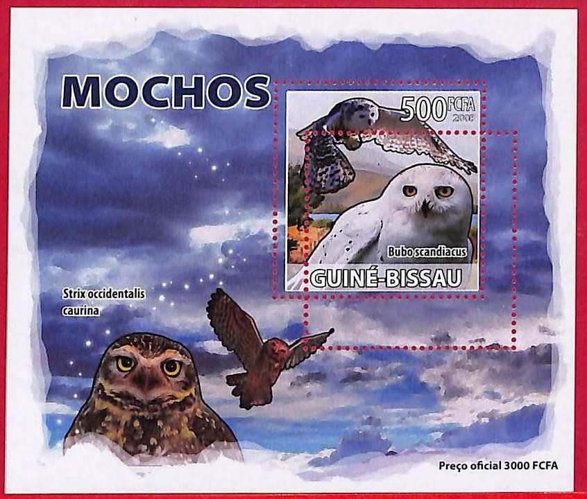 A5198 - GUINE-BISSAU - ERROR MISPERF Stamp Sheet - 2008 - Birds OWLS