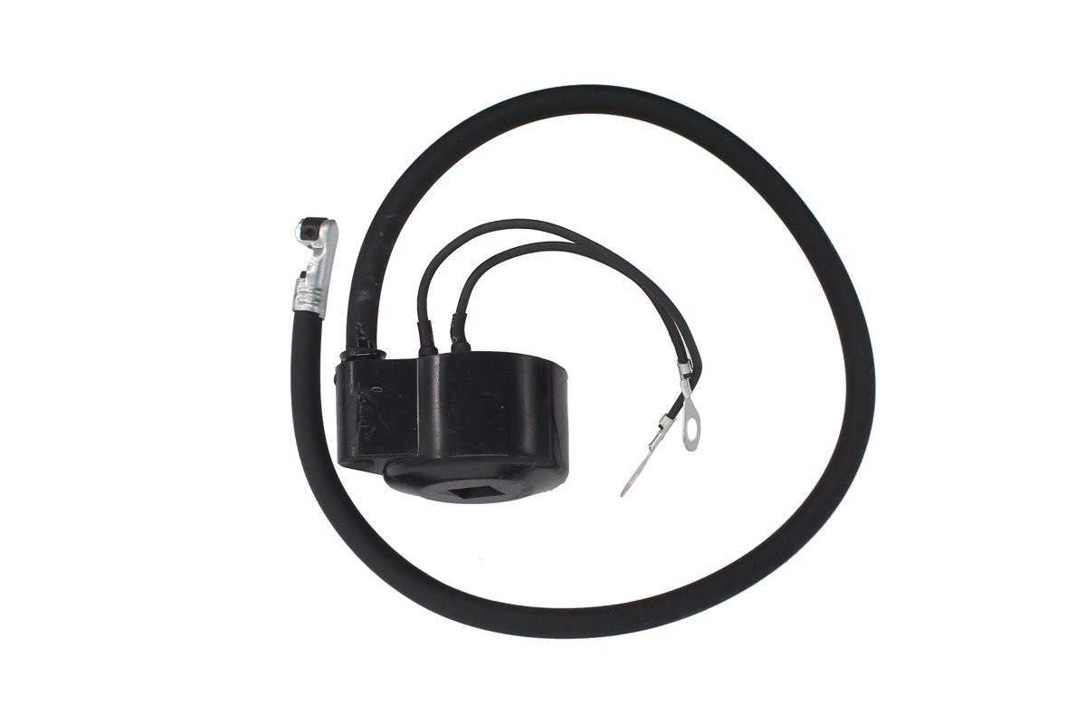 Ignition Coil Module for Tecumseh H30 H50 HH60 H60 H70 H80 HH70 HM100 HM70... 