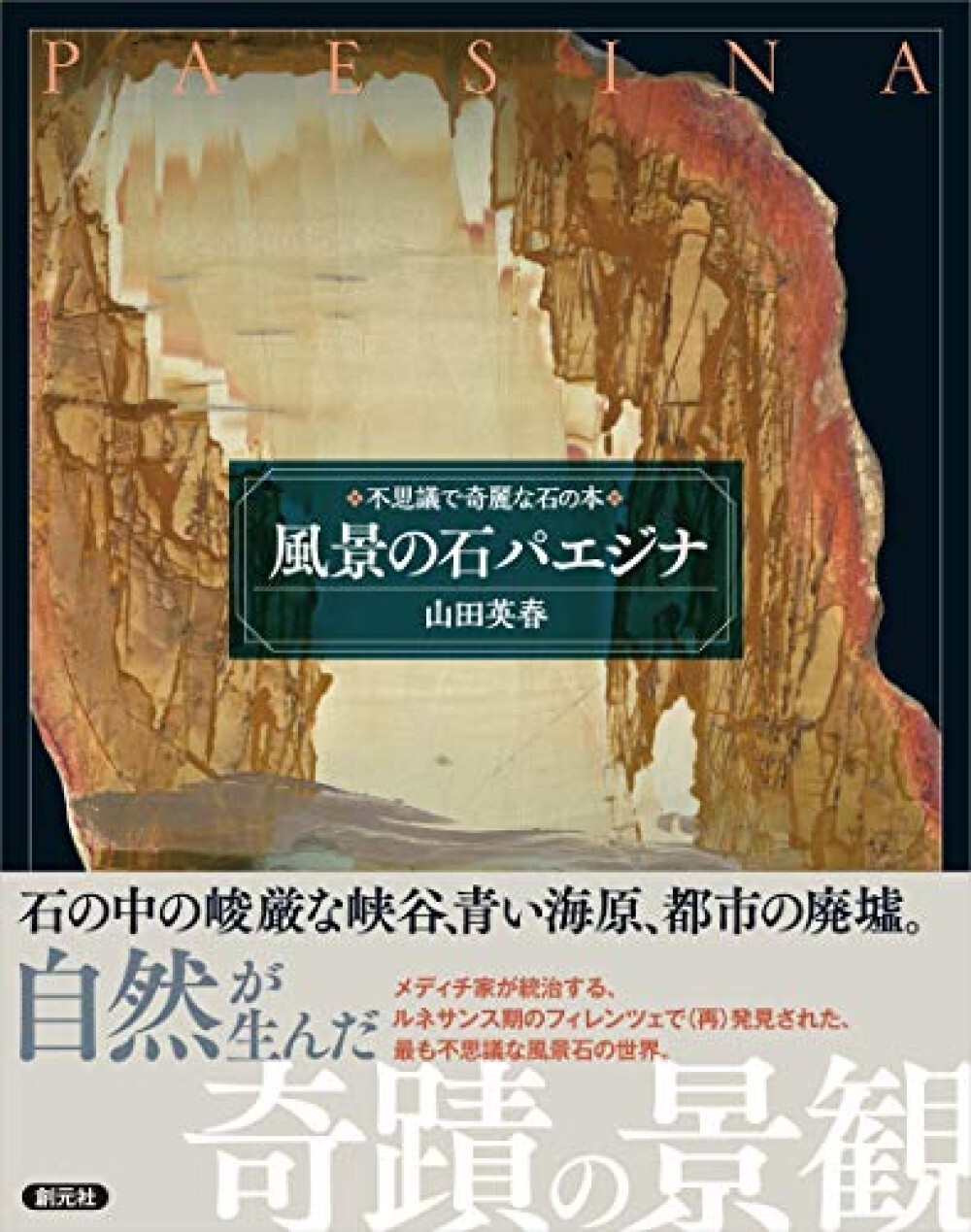 SOGENSHA Pietra Paesina Stone Visual Book / Japan New