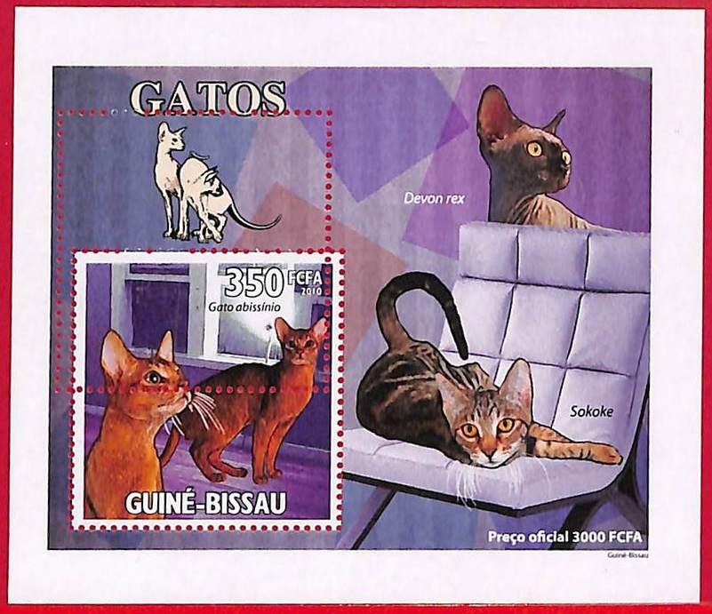 A5947 - GUINE-BISSAU - ERROR MISPERF Stamp Sheet - 2010 - Cats