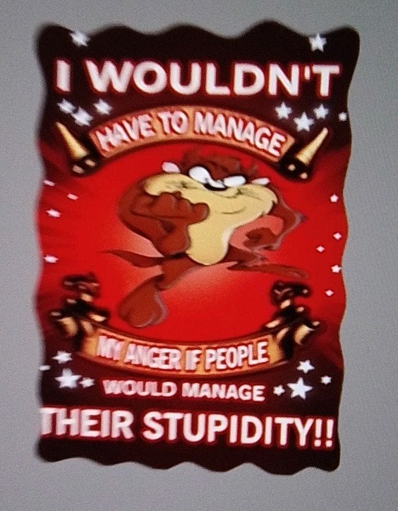 Iron On Heat Transfer Decal On 8.5x11 Sheet