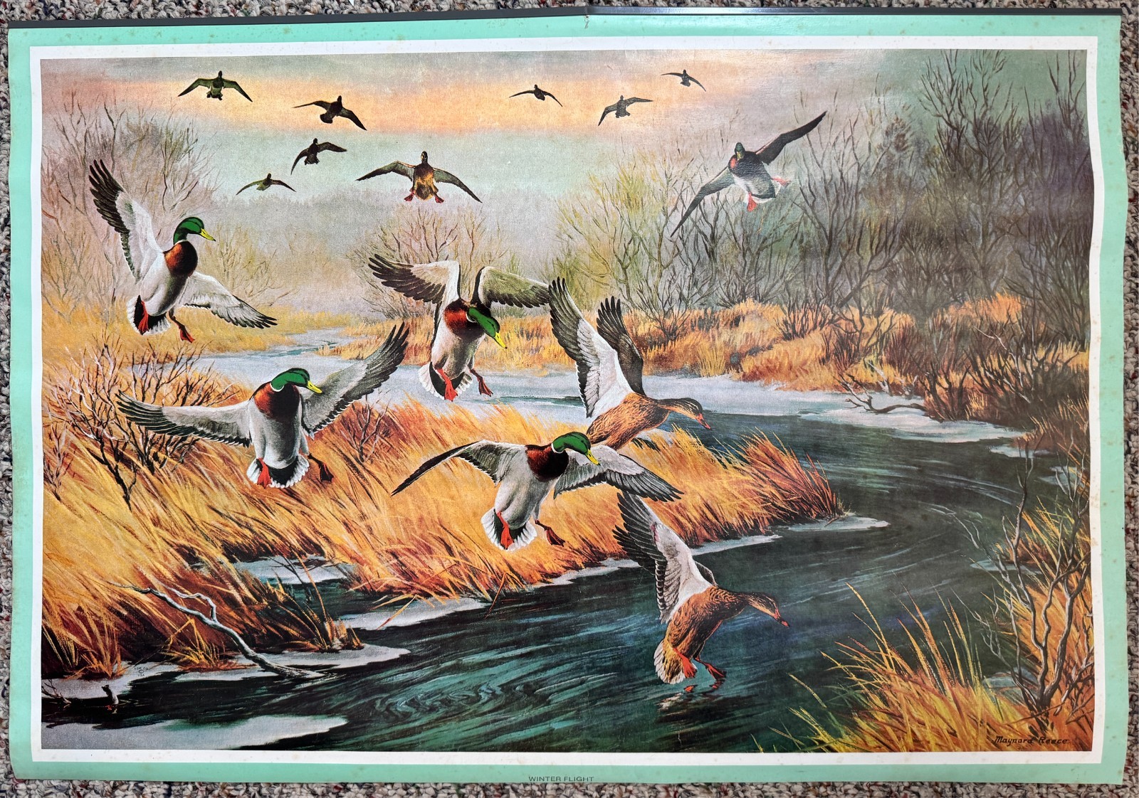 Vintage 1970's Era Maynard Reece Mallard Ducks Print 31" x 22"