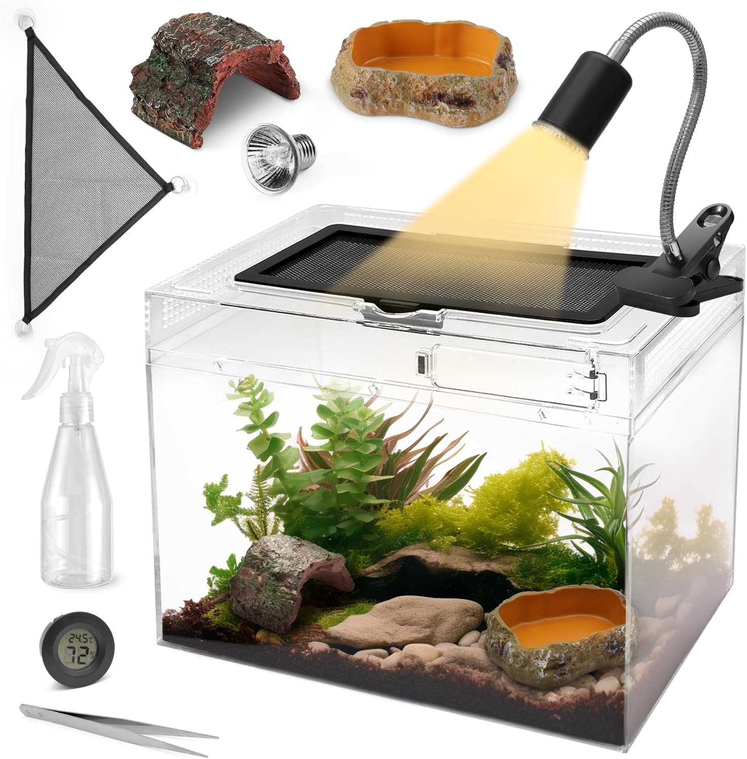  Reptile Terrarium Starter Kit,8 Piece Small Reptile Tank with Escape-Proof 
