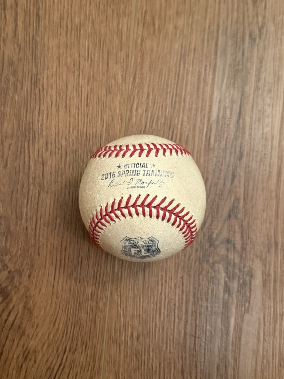 2016 MLB Spring Training Rawlings Baseball FL Official Game Used Ball 