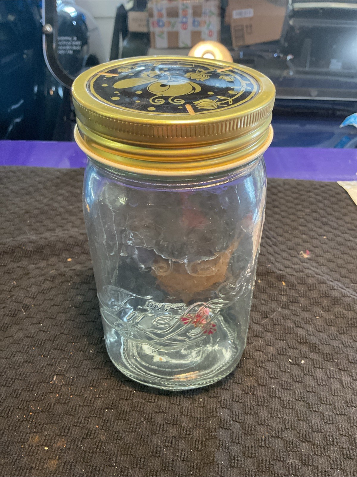 MY PET FIREFLY BY GEMMY PINK VERSION “Flies” But Does Not Light Up!