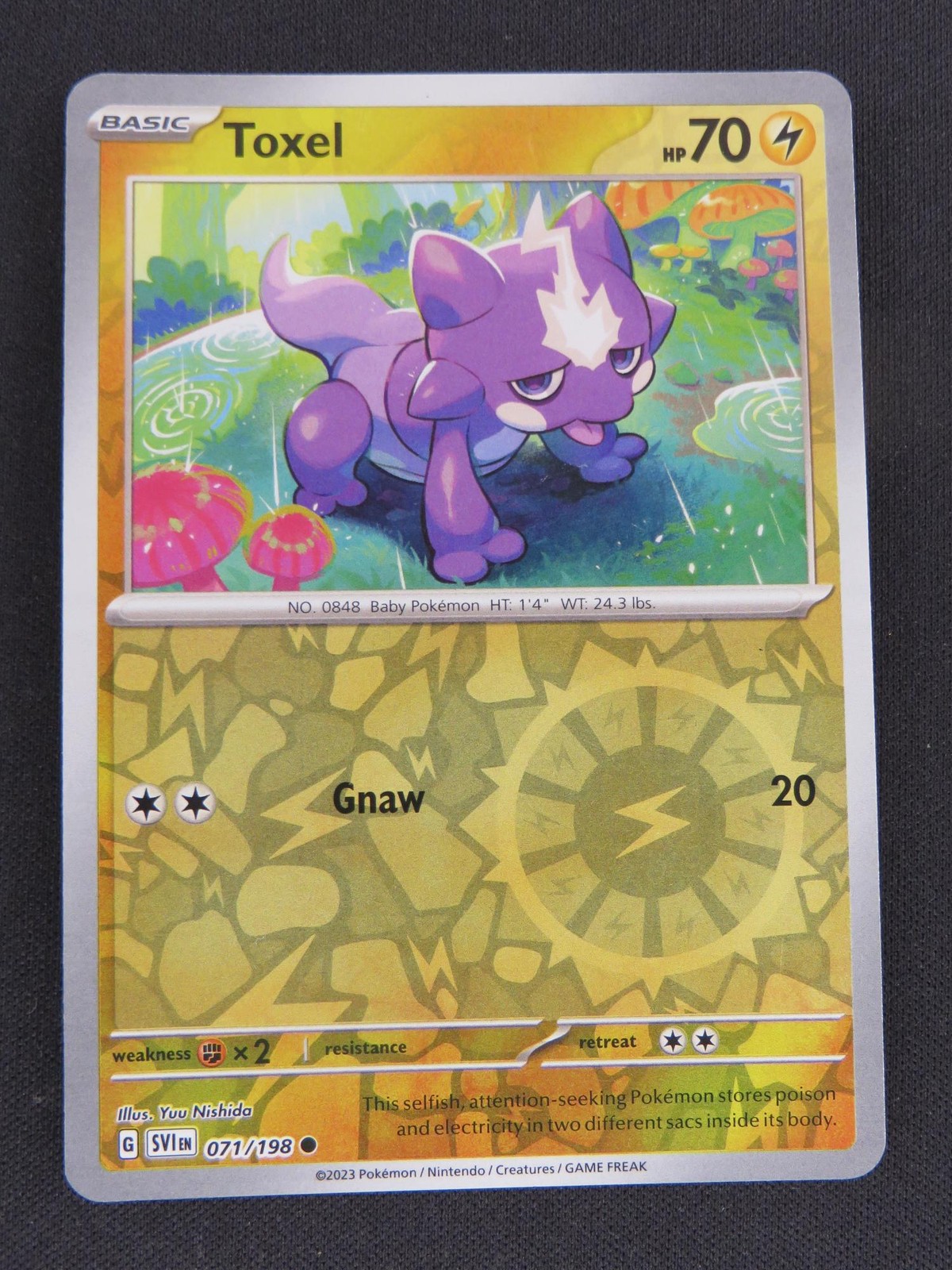 Toxel 071/198 Common Scarlet & Violet Pokemon Reverse Holo NM