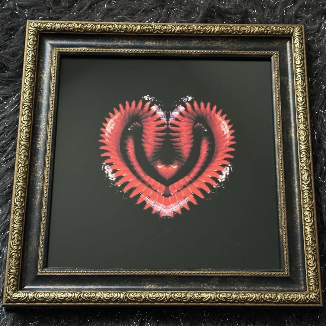 Fumiya Fujii Signed Framed Fumiyart Snake B Limited Edition Artwork