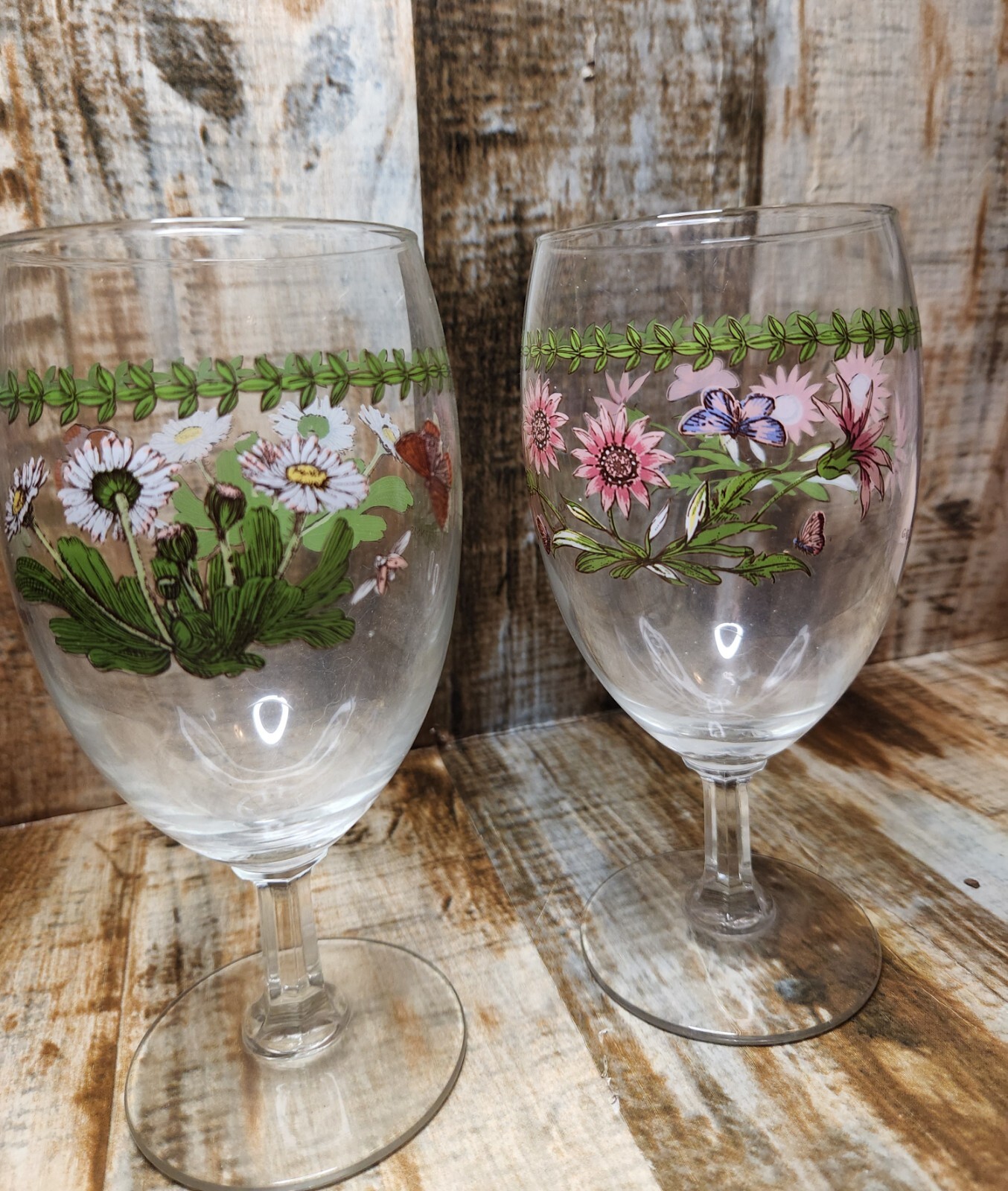 Portmeirion Botanic Garden Gazania Ringens Daisy Water Ice Tea Glass Goblet Set