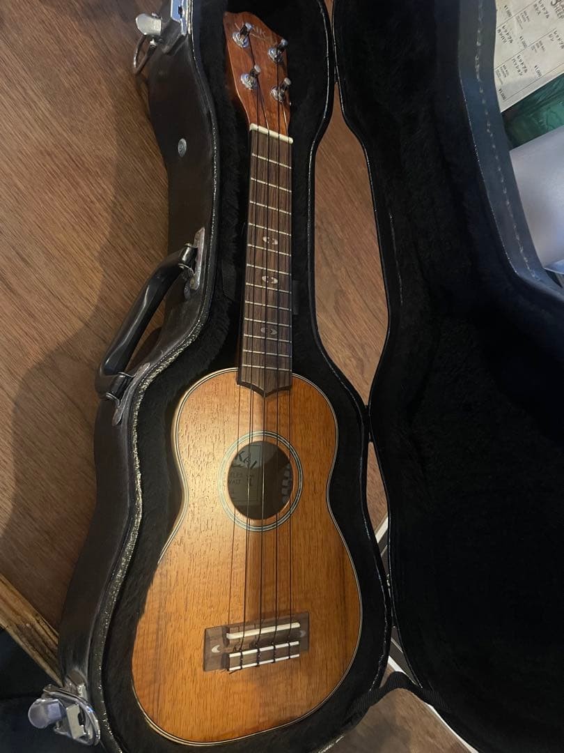 Purchased in Hawaii [Lanikai CK-S ukulele] with case