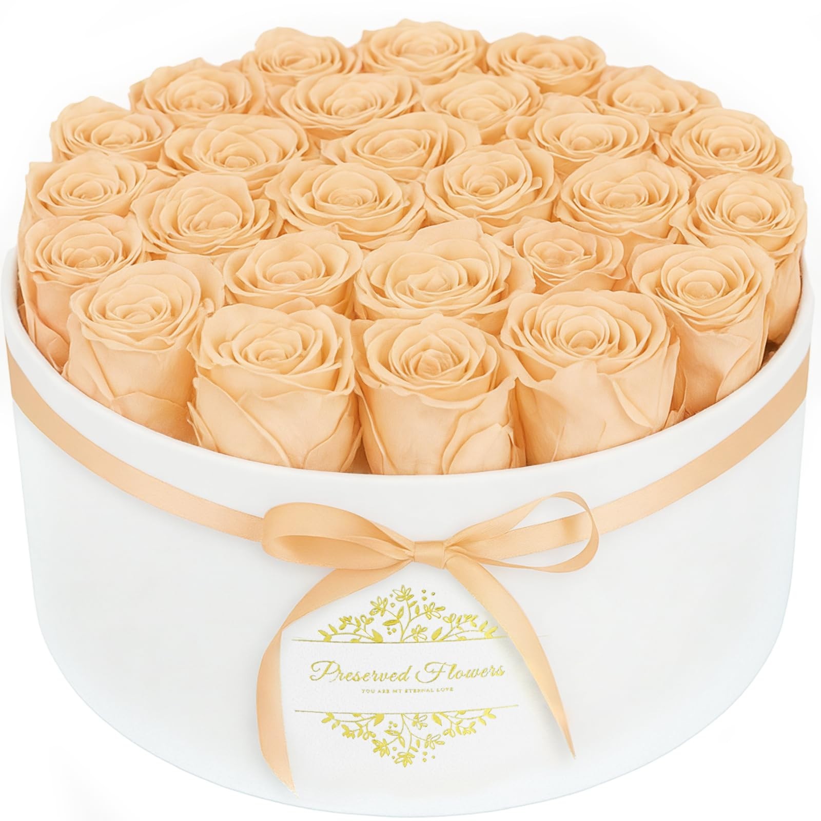 17 Forever Flowers in a Luxury Suede Box, Preserved 17 Roses, Champagne Red 