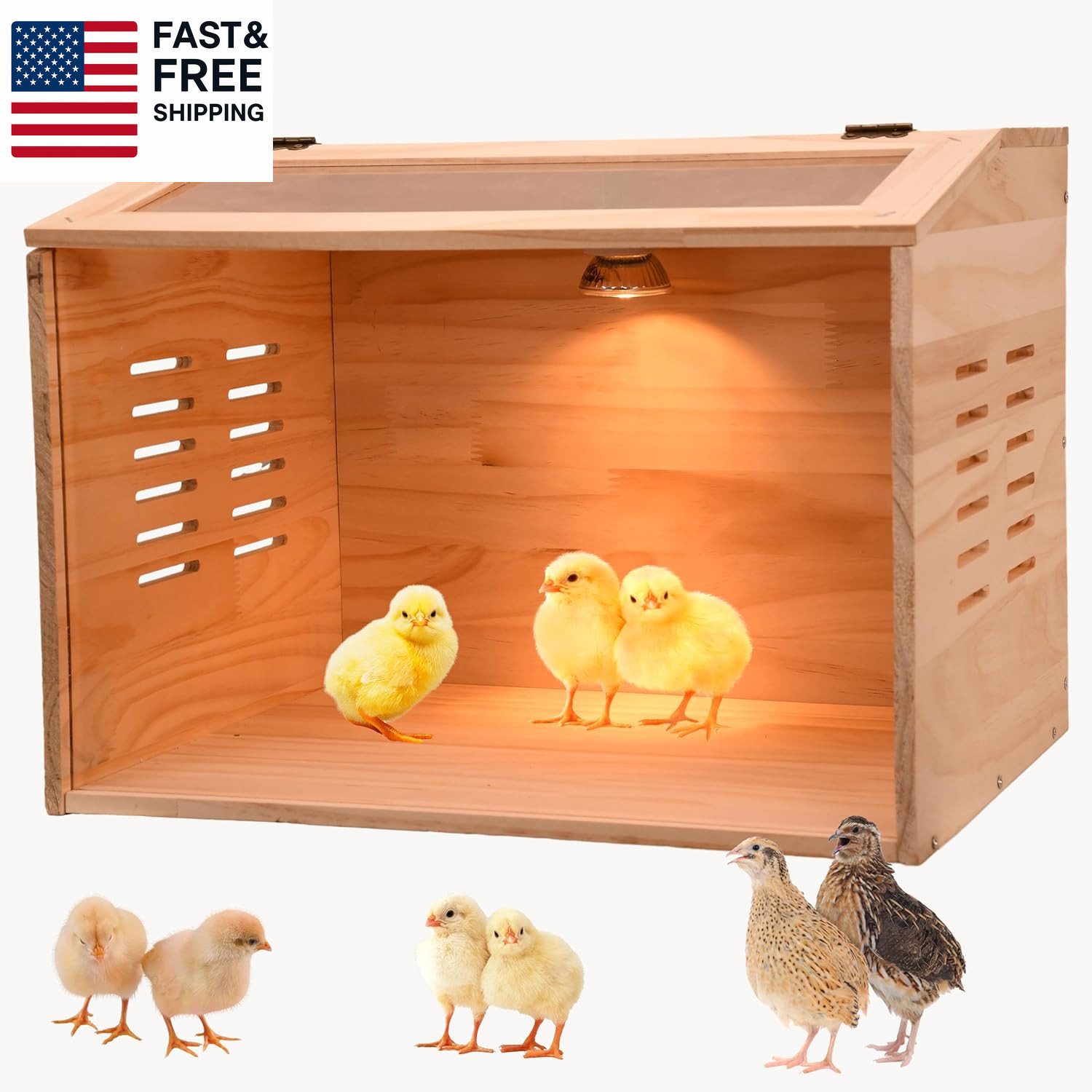 Brooder Box for Chicks, Chicken Brooder Box, Chicken Heater, Poultry Brooder w