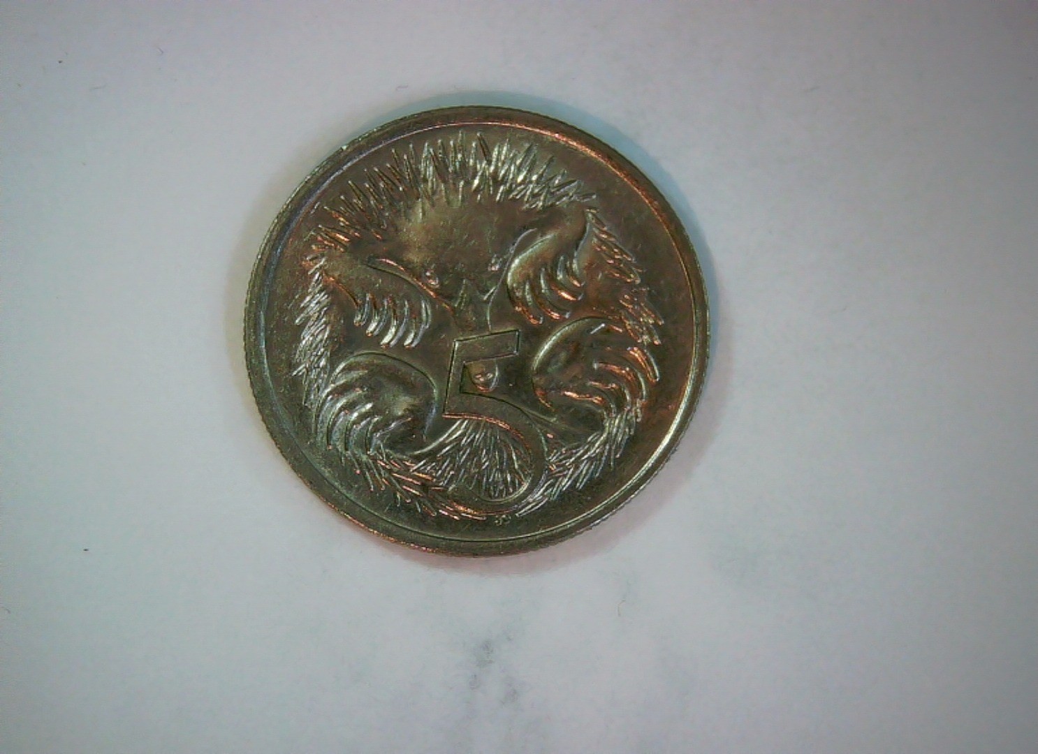 Australia 1980 5 Cents Australian 5 Cents (Echidna) Coin