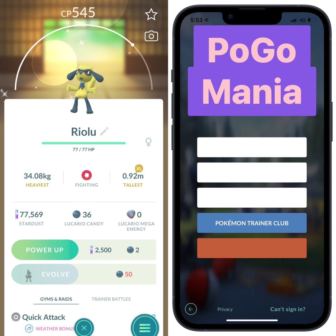 Shiny Riolu (Female)✨mini PTC 80k✨(read description)