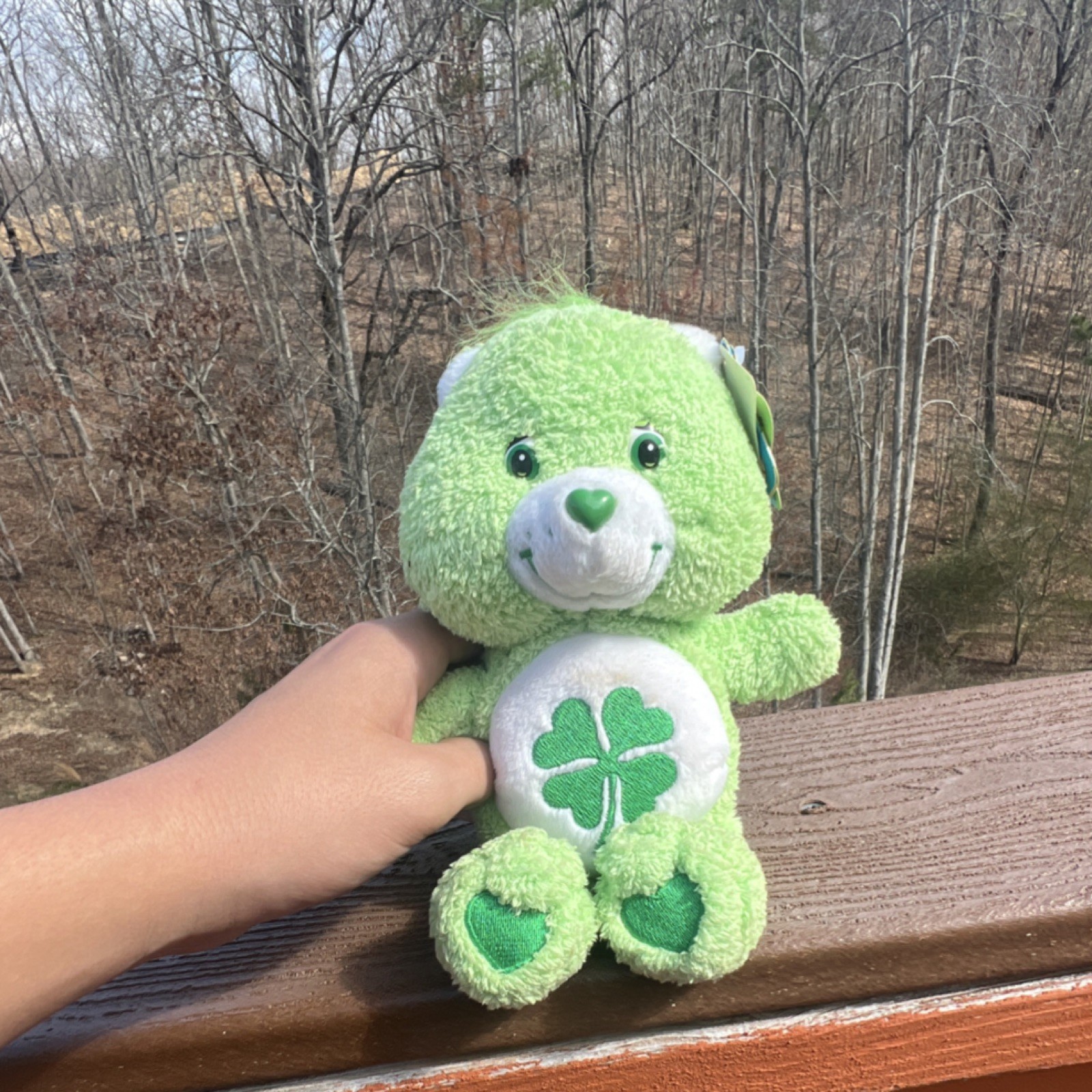 Care Bears Good Luck Bear Green Plush Bear with Four-Leaf Clover Belly