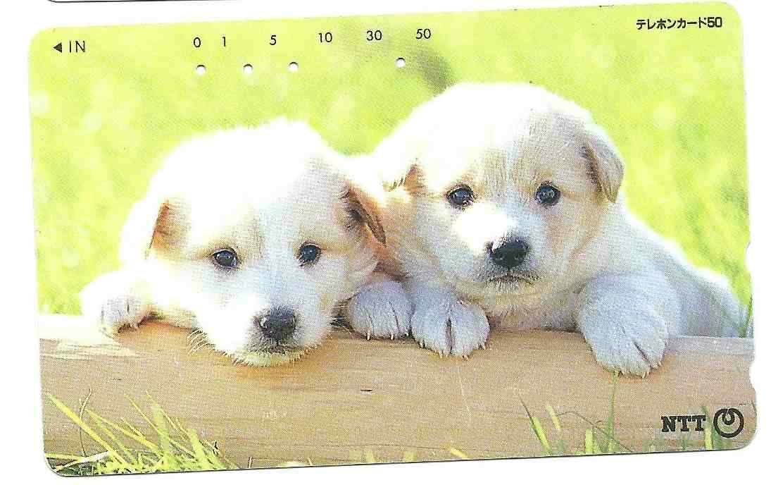 2020/28 Used Phonecard Japan JP-231-184 Two Puppies