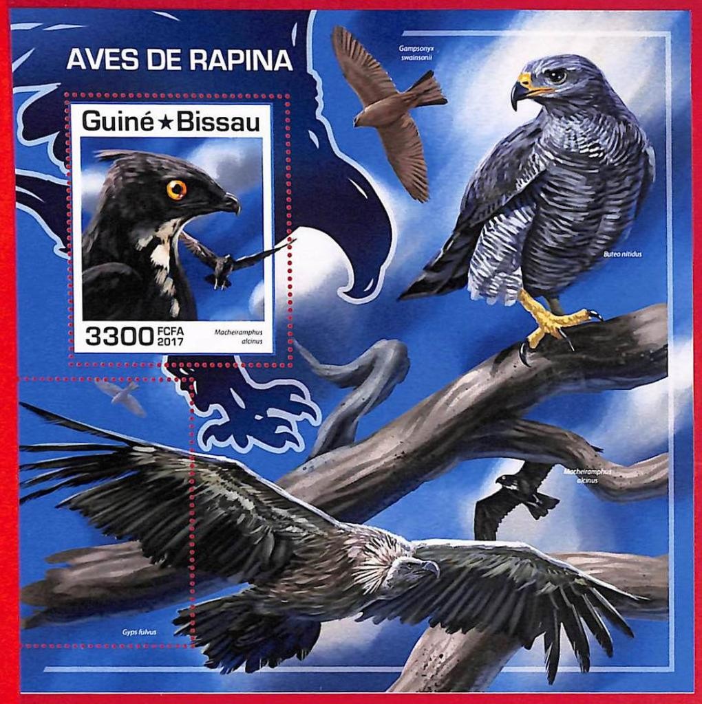 A5375 - GUINE-BISSAU - ERROR MISPERF Stamp Sheet - 2017 - Birds of Prey