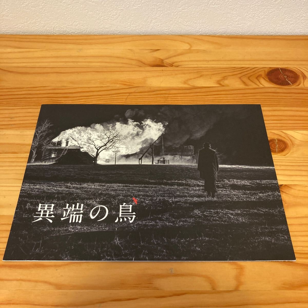 Heretic Birds movie press sheet