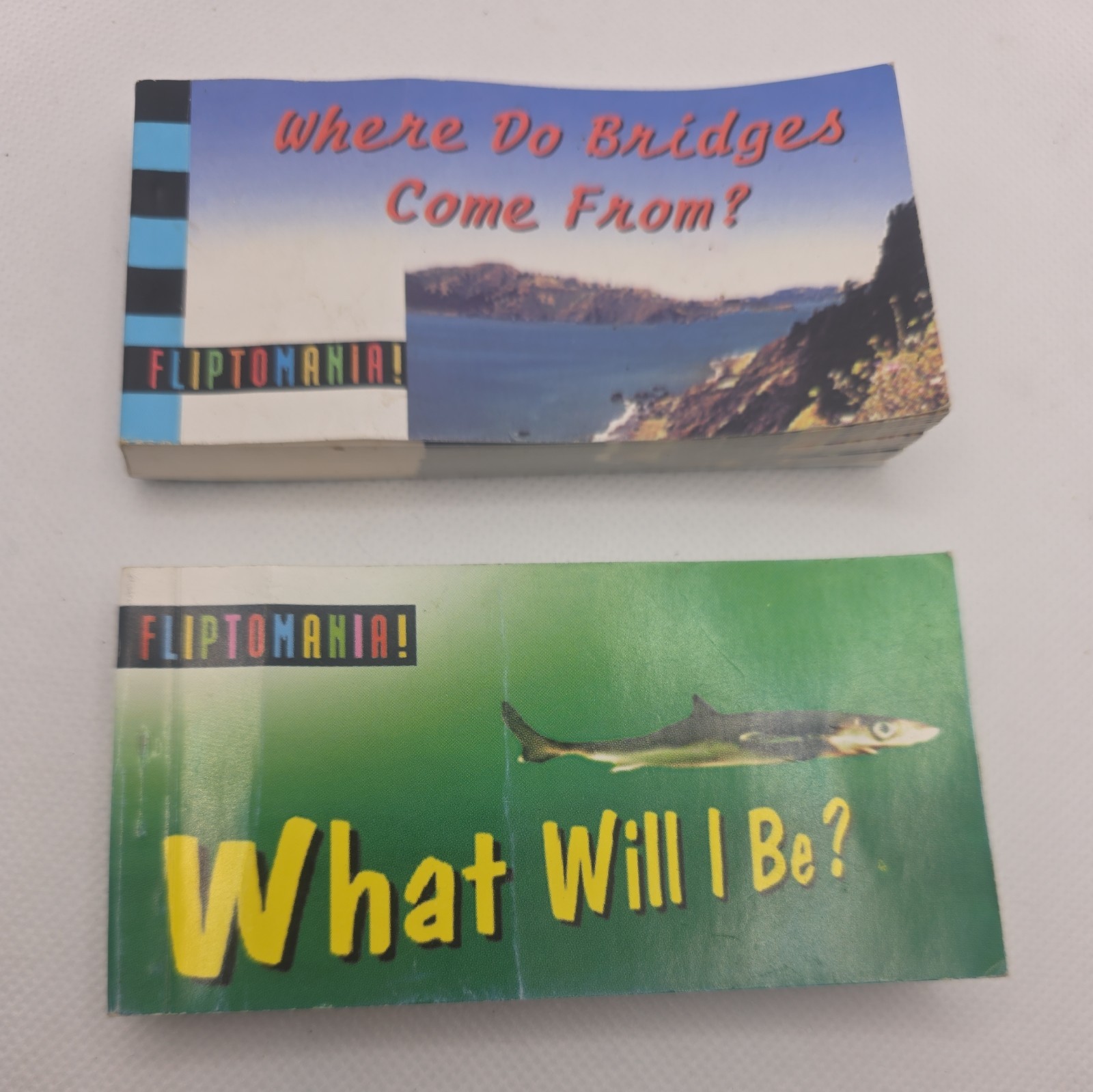 2 Fliptomania Sand Tiger Shar what will i be ? & Where Do Bridges come from?  