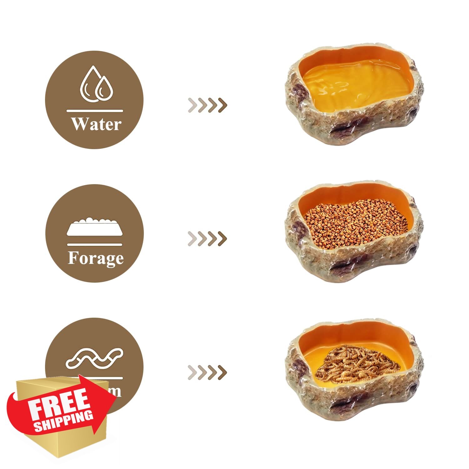 Reptile Bowl Set Food Water Dish Tongs Terrarium Gecko Frog Bearded Dragon