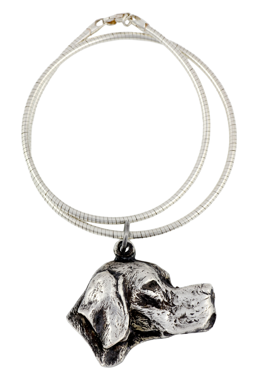 English Pointer, English Pointer - Dog Collar, Unique Jewelry for D