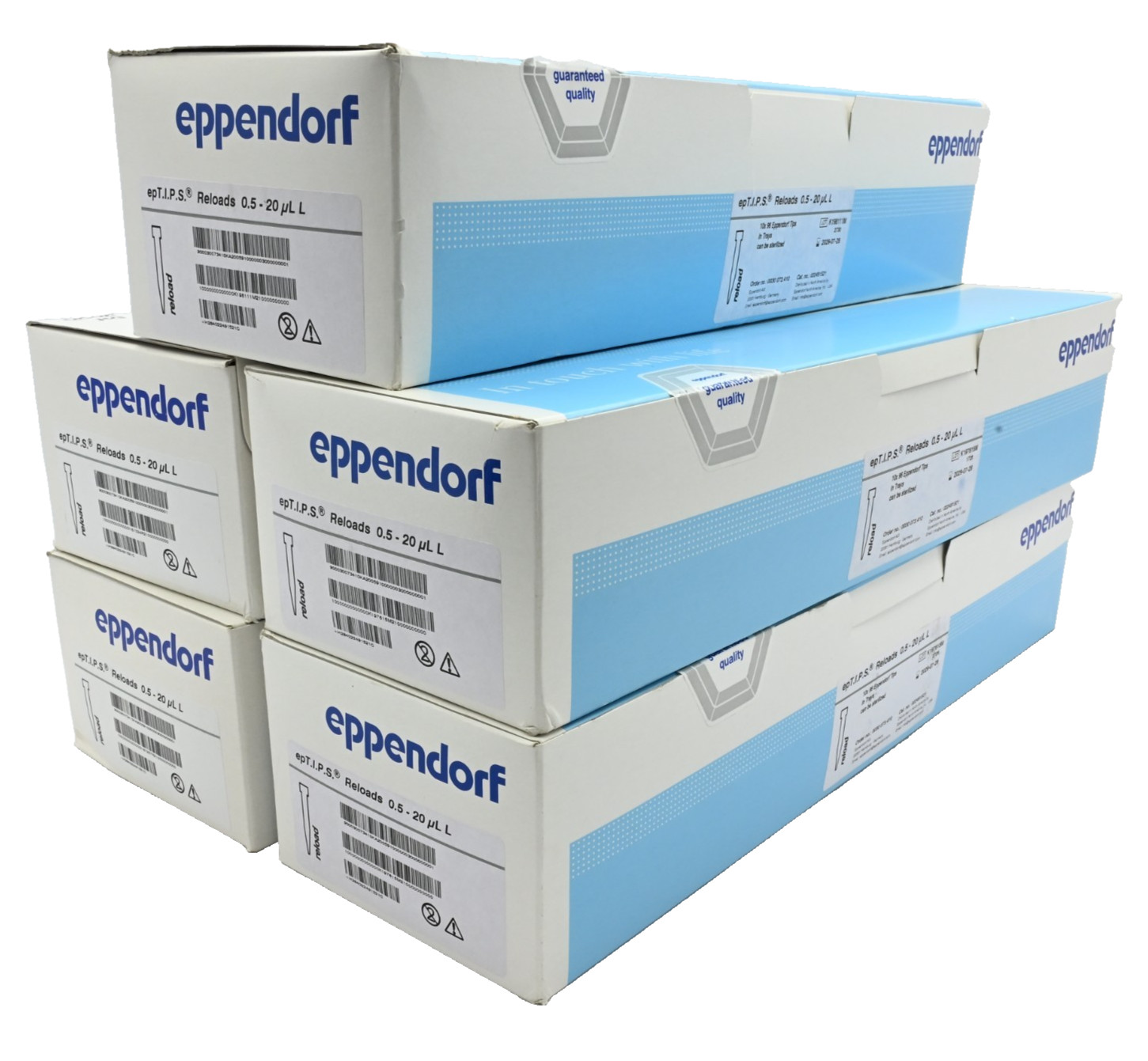 Eppendorf 022491521 epT.I.P.S. Reloads Quality 0.5-20uL, Light Gray (5x 960x)