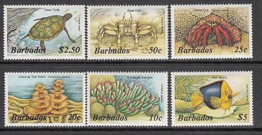 Barbados - Mail 1985 Yvert 608//13 ** Mnh Marine Fauna