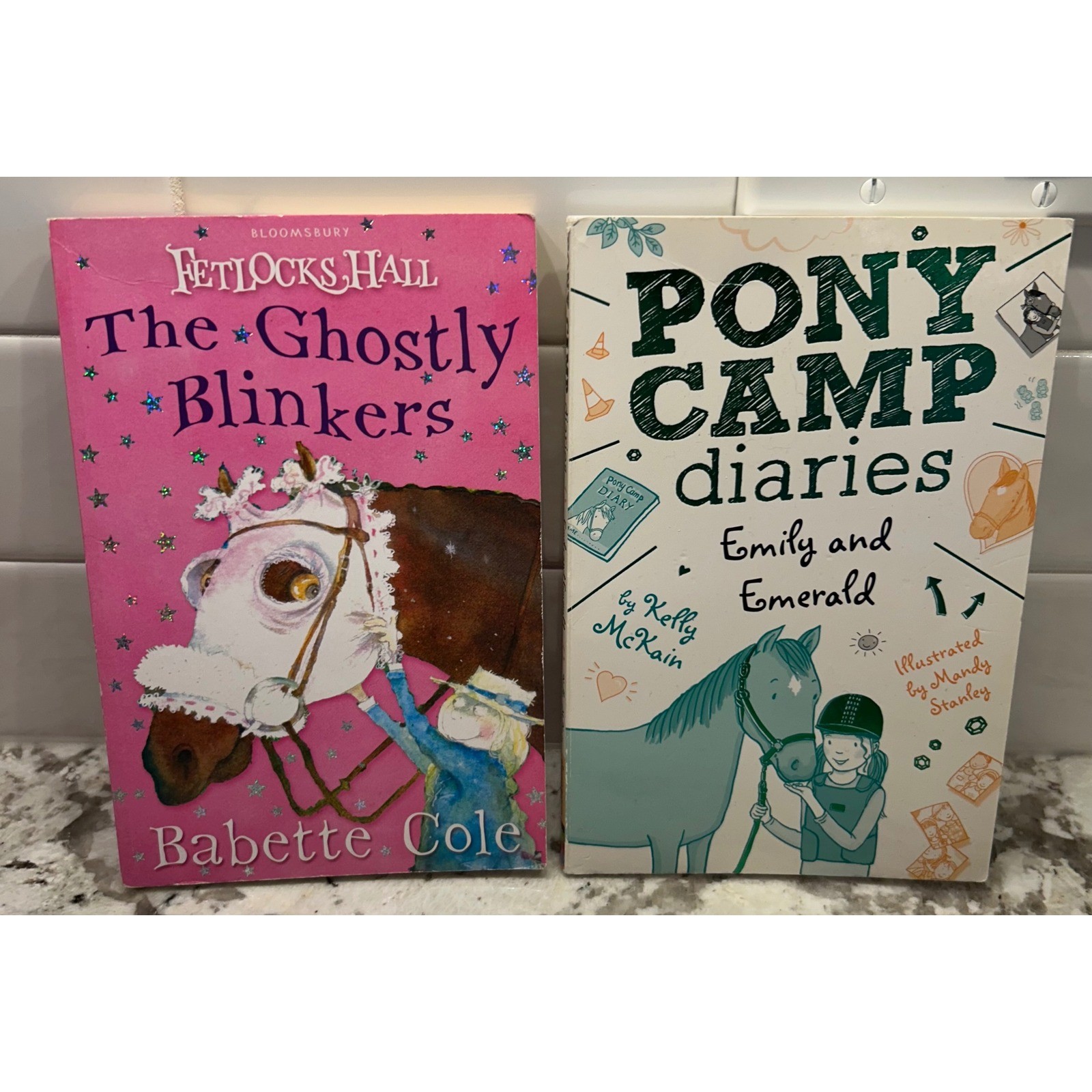 The Ghostly Blinkers & Pony Camp Diaries Emily and Emerald Children's Books Lot