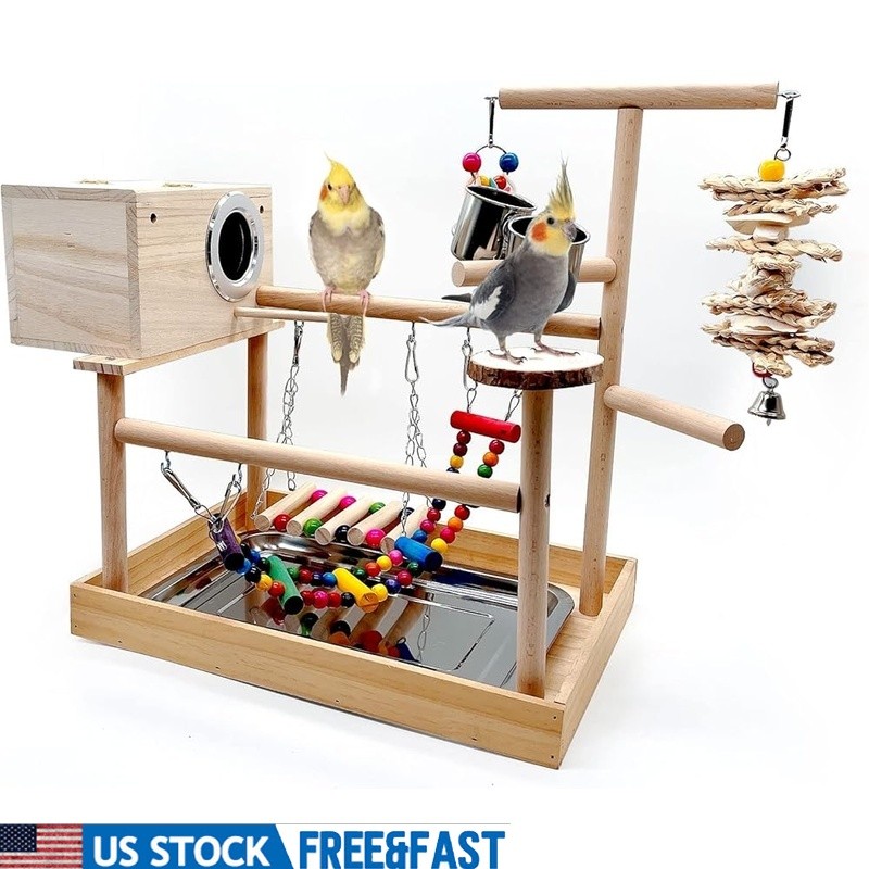 Bird Playground Stand Parrots Cockatiels Play Gym Wood Perch Exercise Toy New