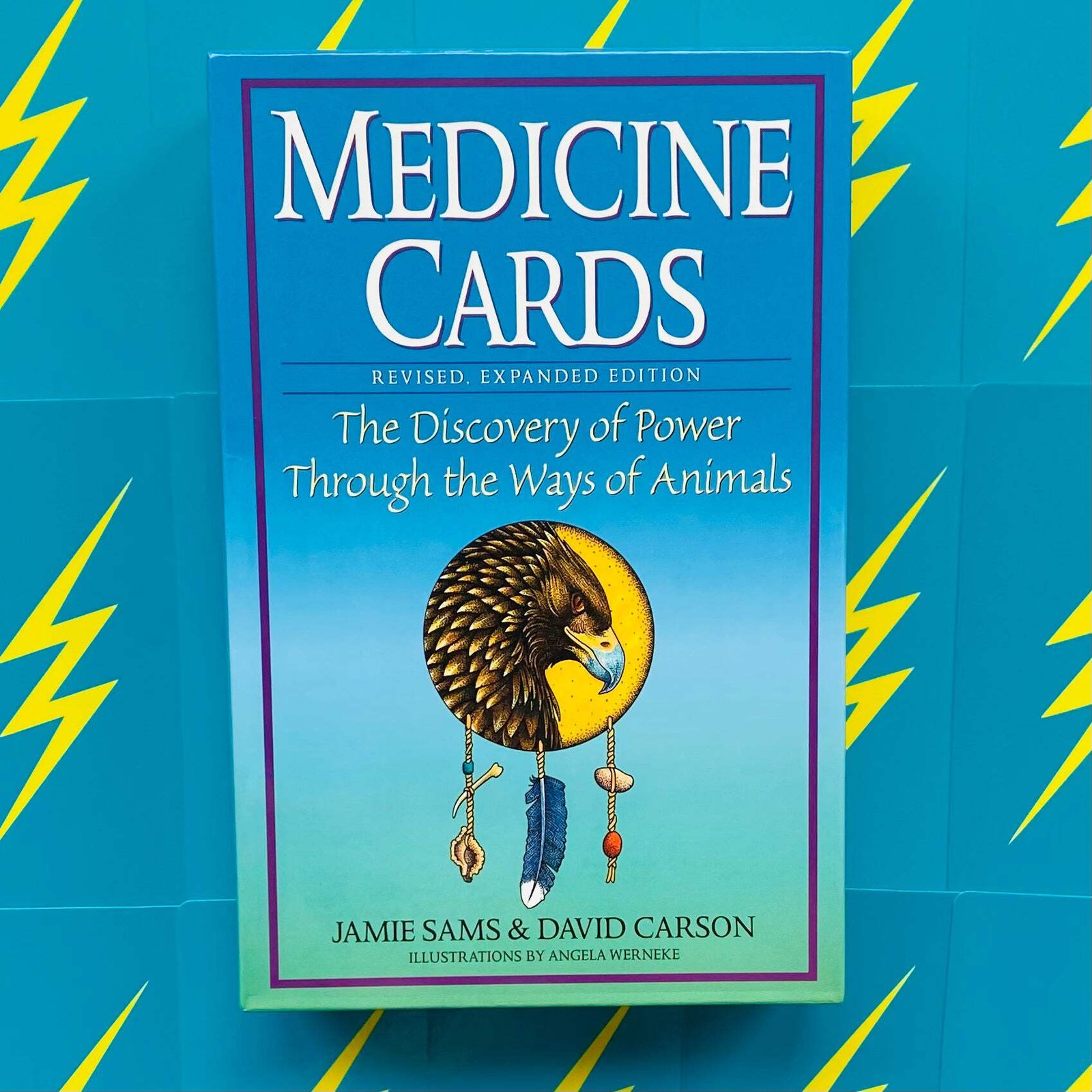 Medicine Cards Deck And Book Set Esoteric Telling Animals US Games Systems MDC44