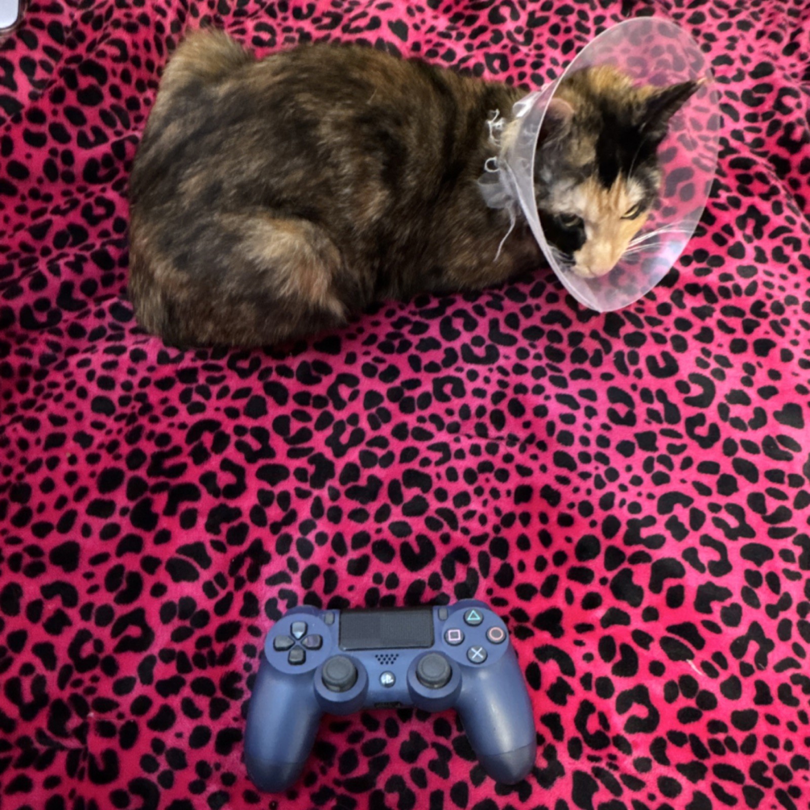 Sony PlayStation 4 DualShock 4 Wireless Controller CUH-ZCT2U Black for Console