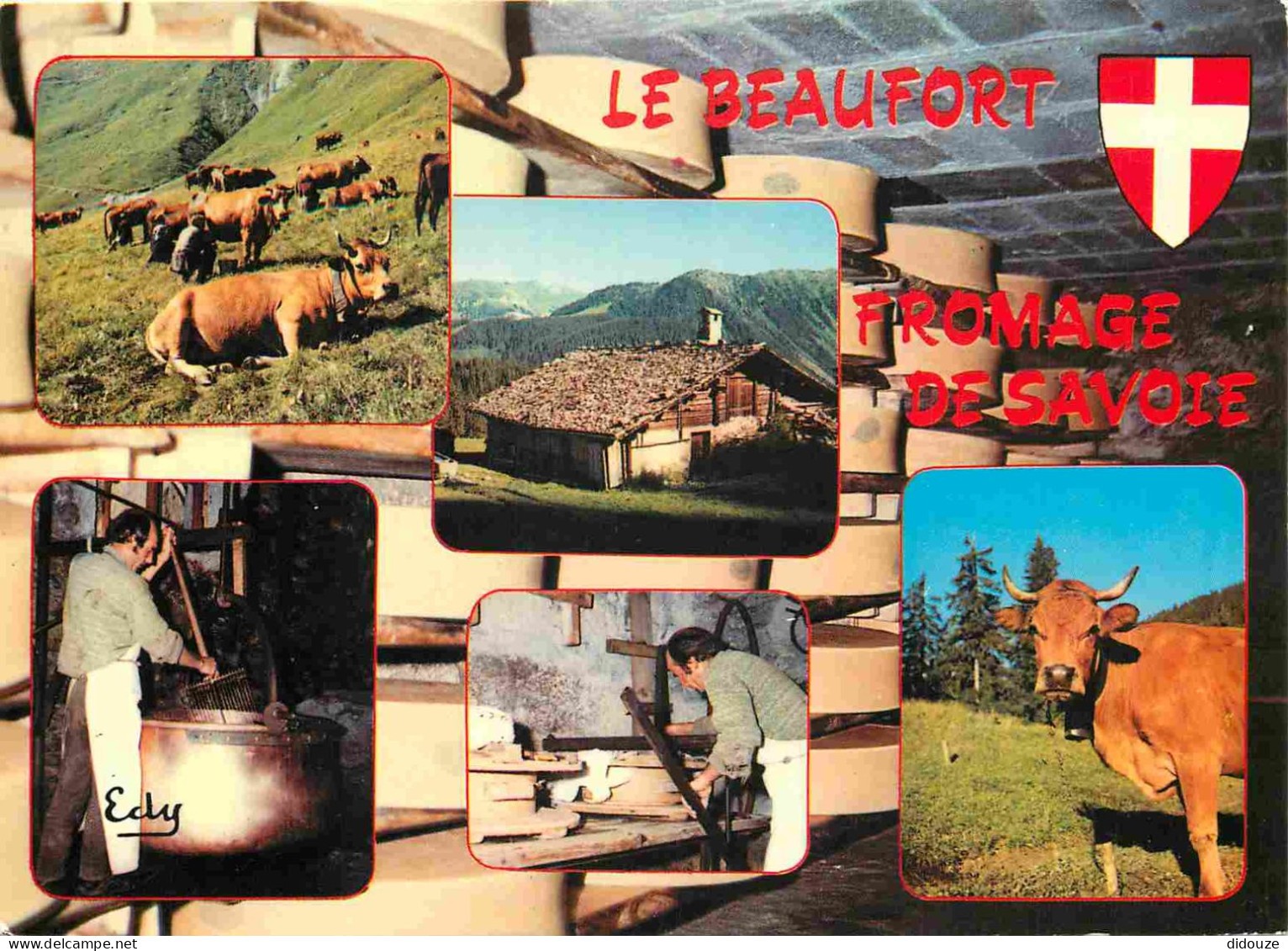 Postcard - Crafts - Cheese - Cheeses - Cheese Factory - Le Beaufort cheese