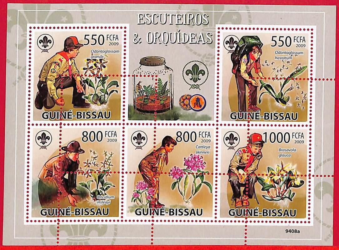 A5201 - GUINE-BISSAU - ERROR MISPERF Stamp Sheet - 2009 - Orchids&Scouts