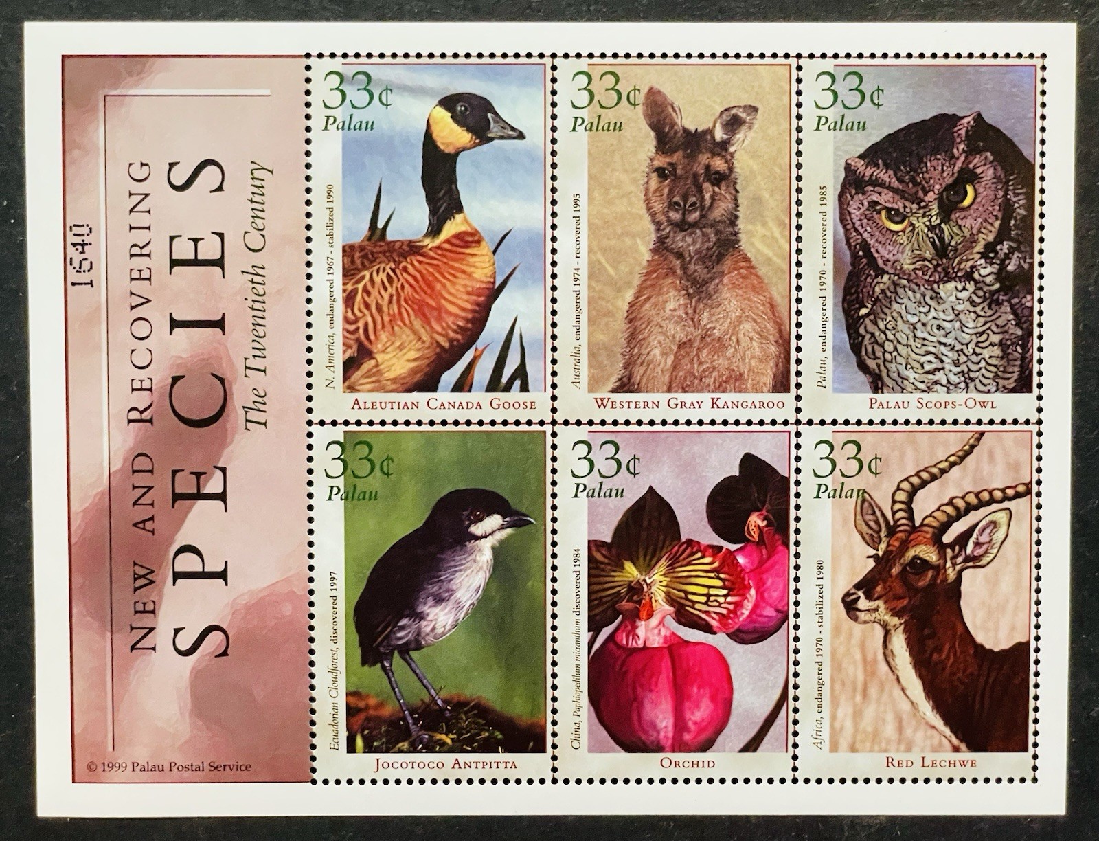 PALAU NEW AND RECOVERING SPECIES STAMPS MNH 2000 WILDLIFE ANIMALS BIRDS OWL