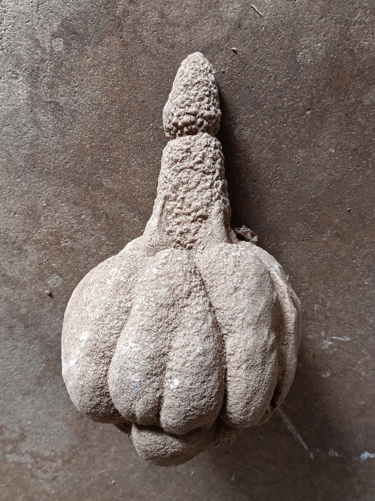 7.5” Cavern Natural Geological Stalagmite Stalagatite Mineral Specimen PHALLAIC 