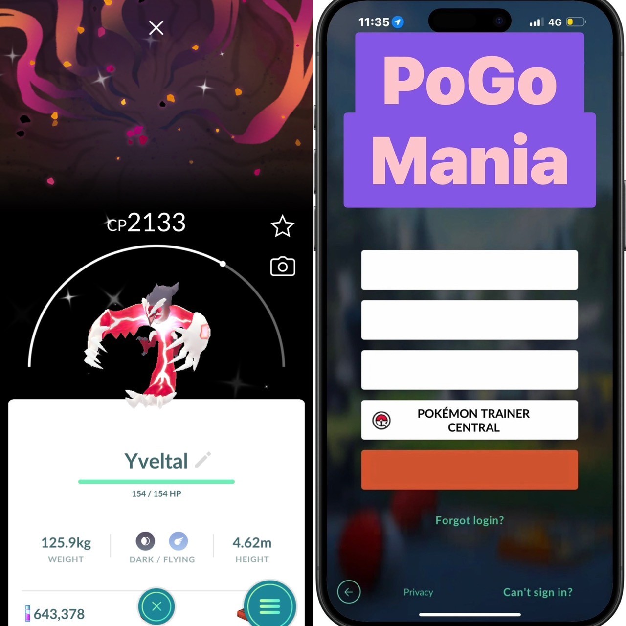 Shiny Yveltal✨Y Version Special Background✨mini PTC 20k✨(read description)