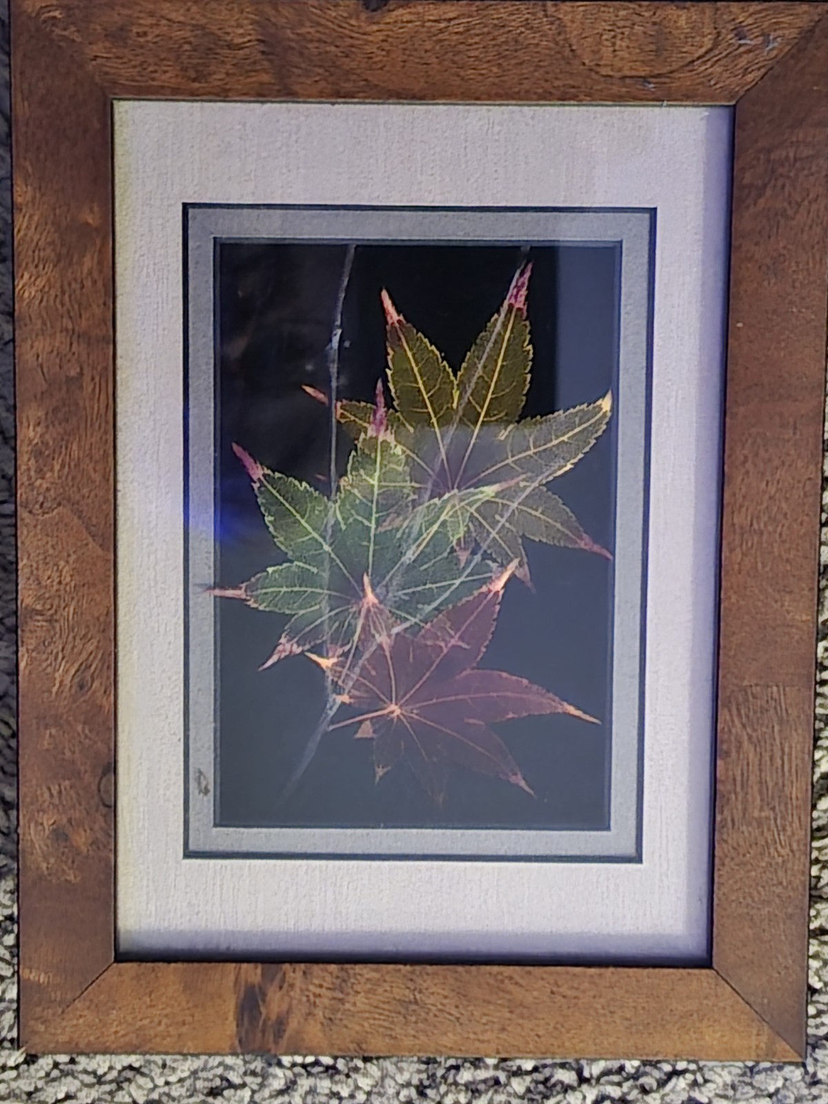 Booker Morey LeafLines White Oak Botanical Mixed Media Collage Framed OOAK