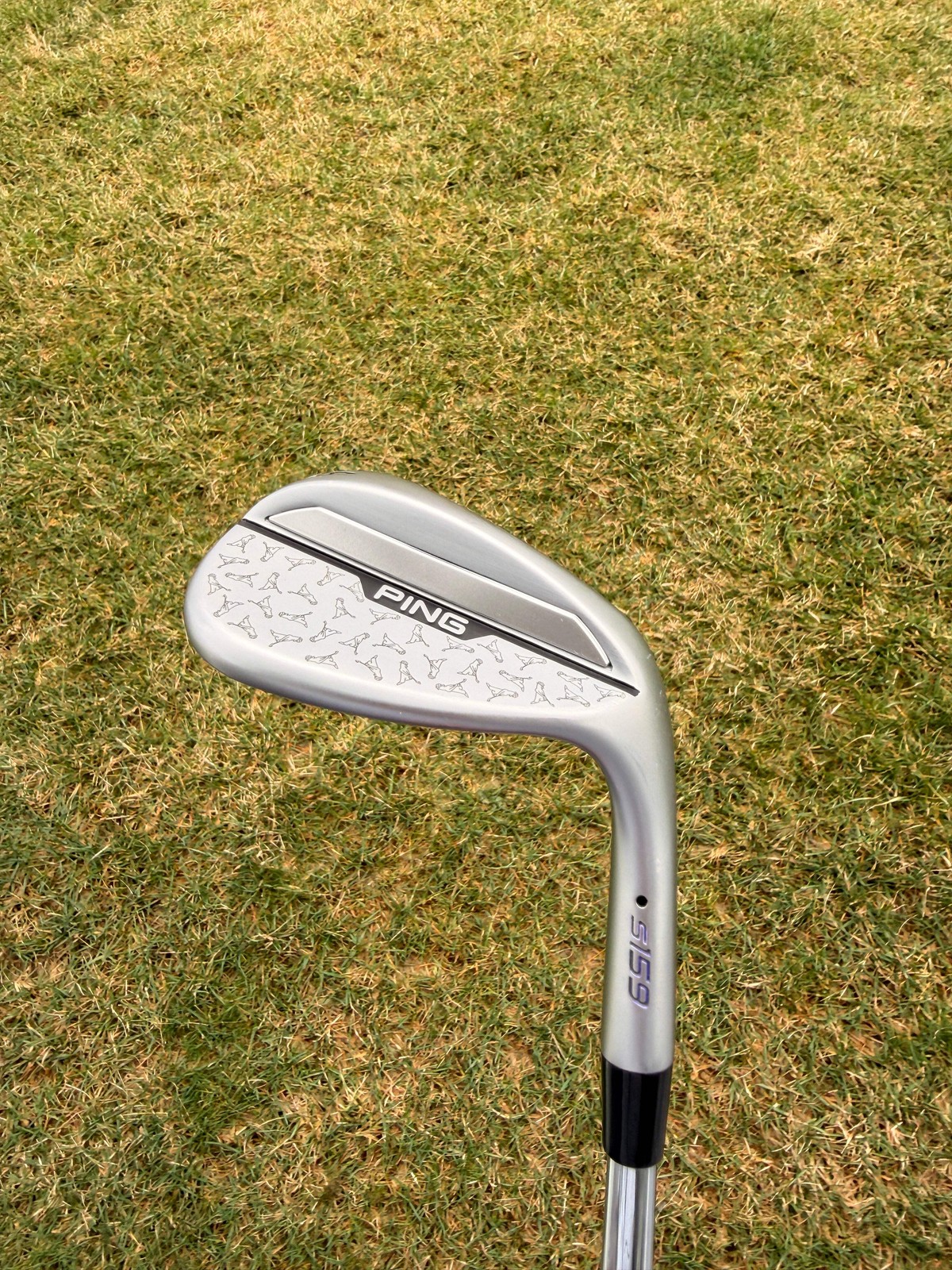 Ping s159 Chrome Wedge 54° / 10 Black Dot DG Spinner Wedge Flex 35.75″ NICE