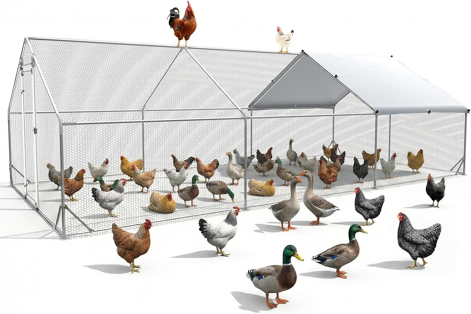 Large Chicken Coop Metal Chicken Runs for Yard 20X10X6.5 Ft Chicken Coop with Co