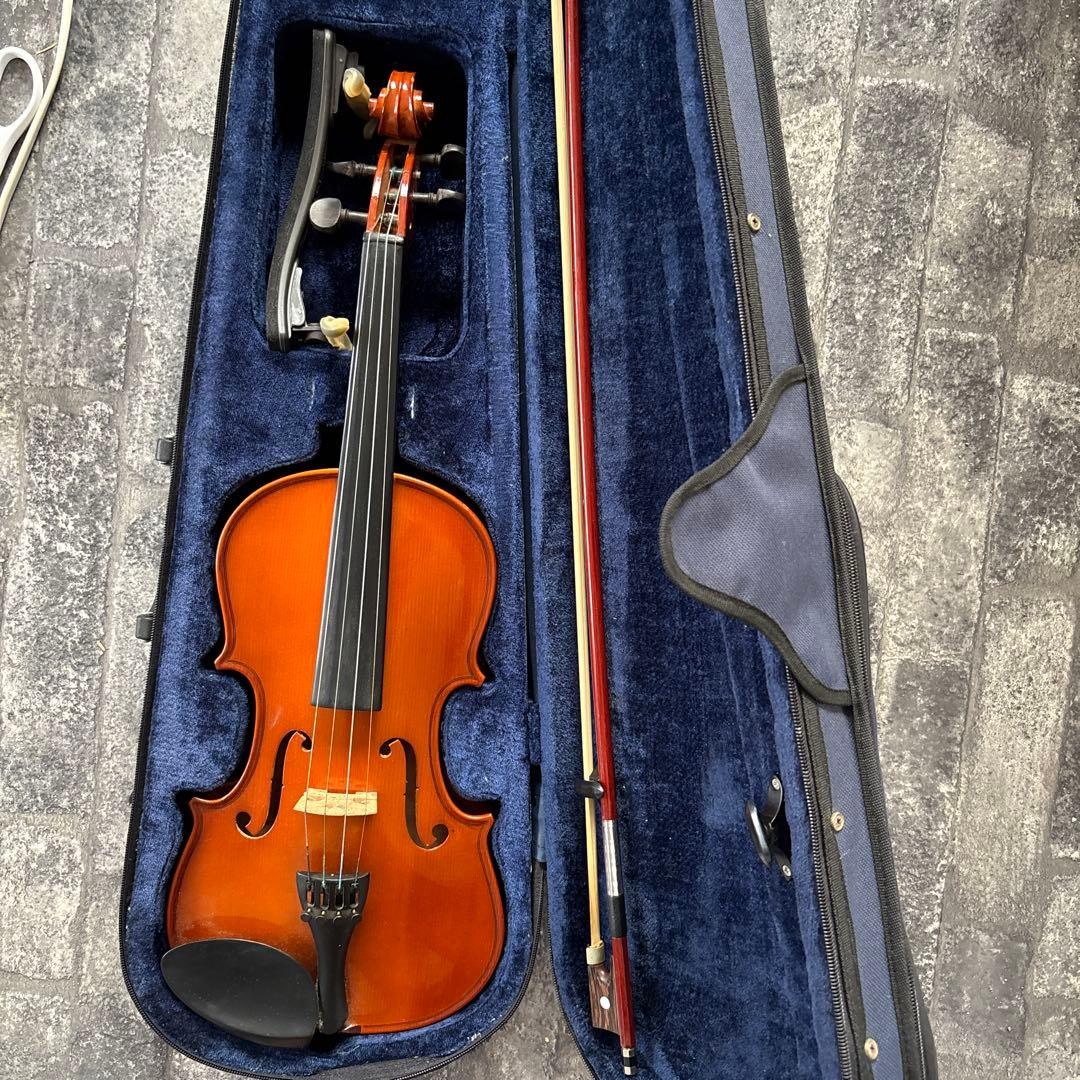Violin body with hard case