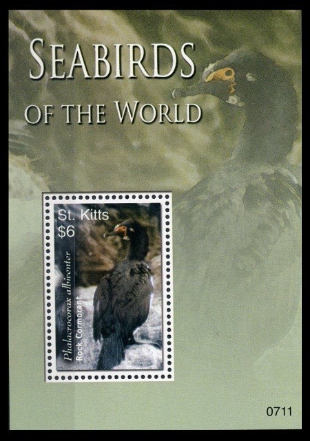 St Kitts 2007 MNH MS, Sea Birds of World, Rock Cormorant