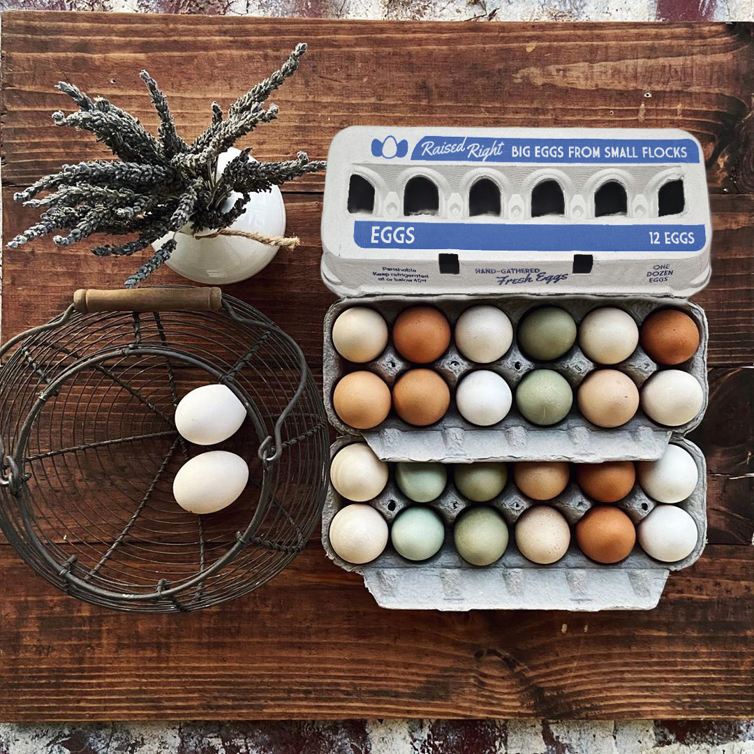 Henlay Jumbo Egg Cartons - Cute Printed Design Holds 12 Jumbo Eggs - 20 or 75