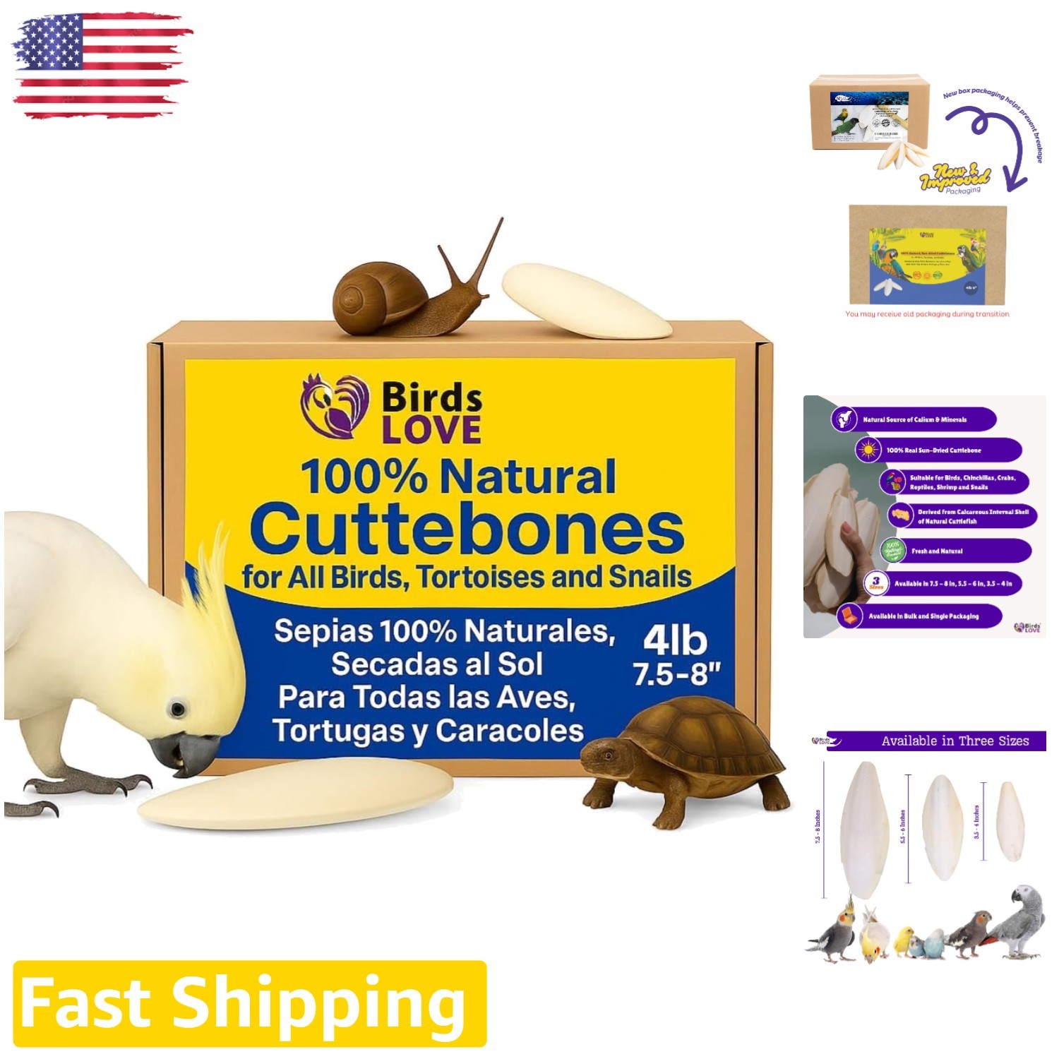 4lb Cuttlebone for Birds & Reptiles - Natural Calcium Supplement
