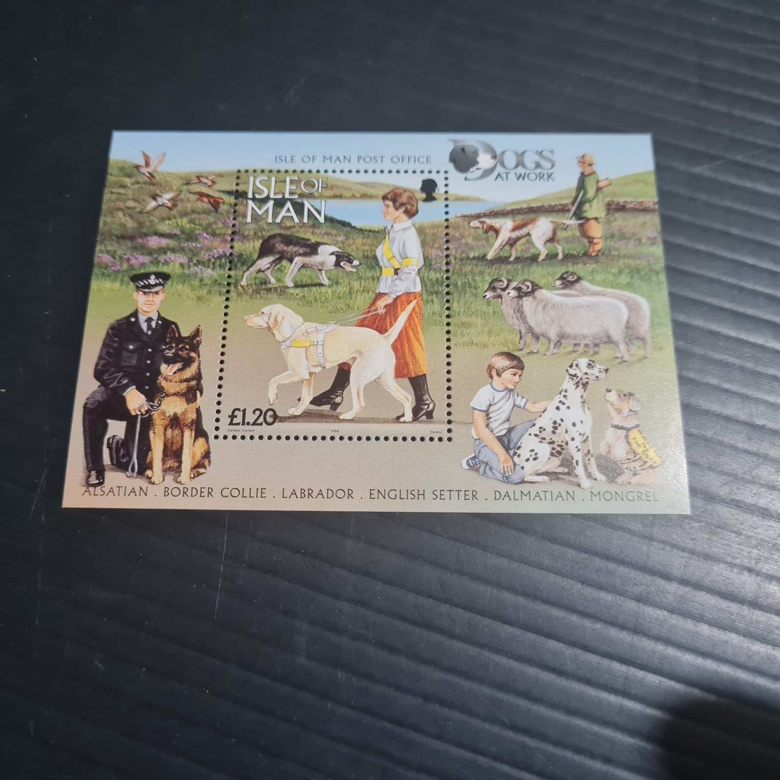 ISLE OF MAN 1996 SG MS725 DOGS MNH