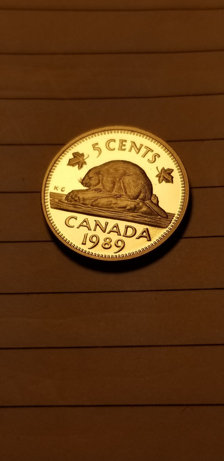1989 Canada 5 Cents Coin Mint Grade Beauty Idab1.