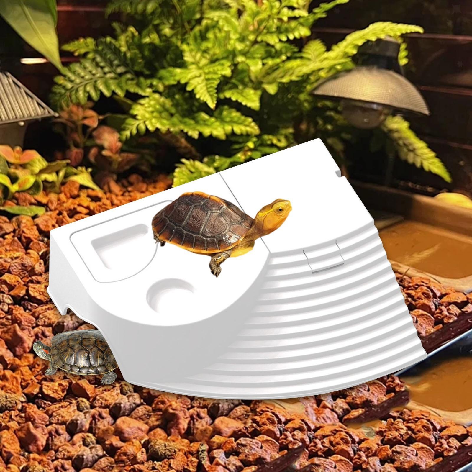 Turtle Basking Platform Turtle Ramp Aquarium Animal Sink Wharf Aquarium