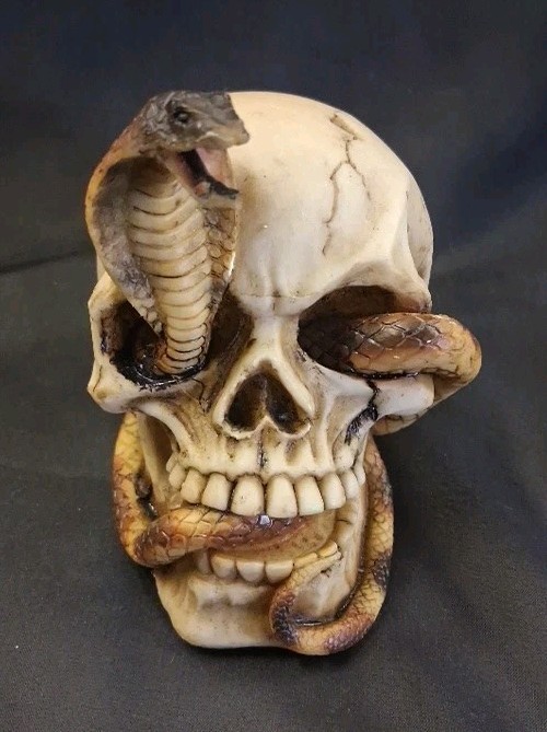 Cobra in Skull pharaoh (a)